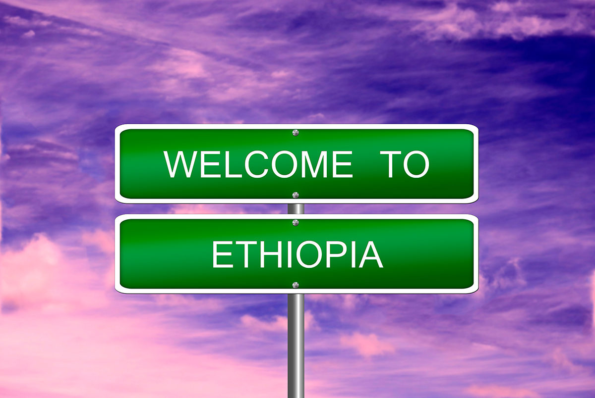 Визовый контроль и затем добро пожаловать в Эфиопию!