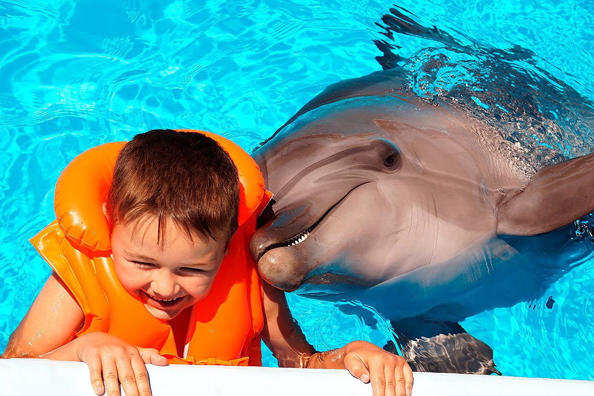 Радость общения с дельфином