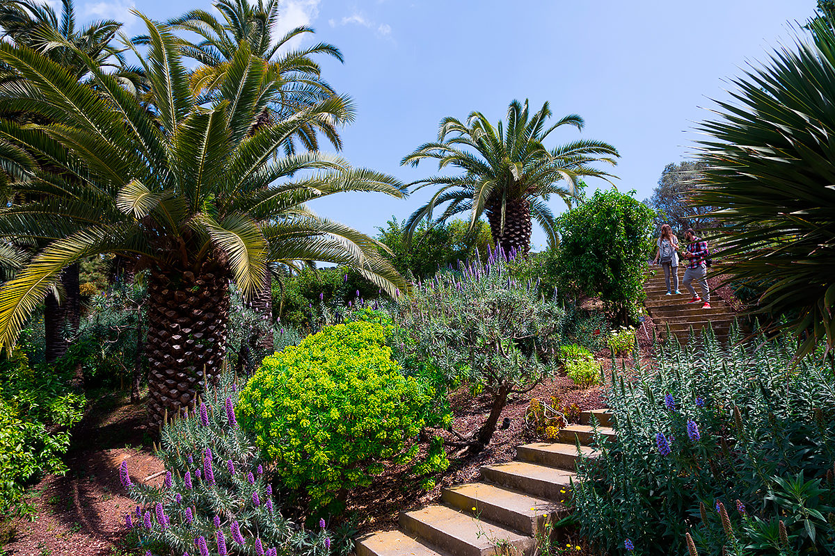 Ботанический сад Барселоны