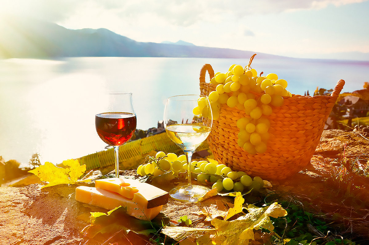 Пикник с вином и сыром