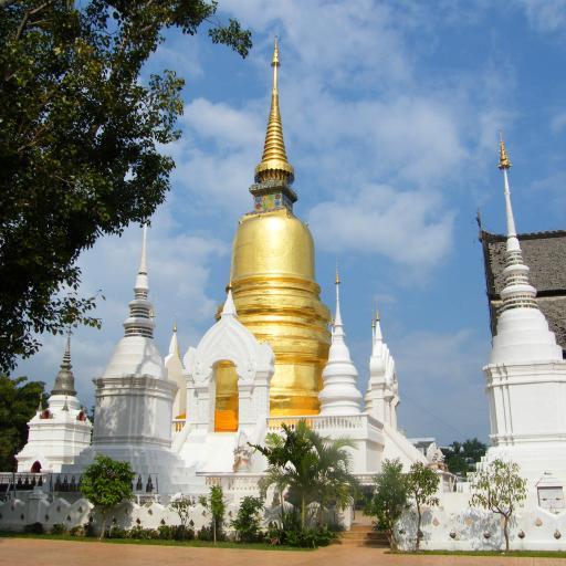 Храм Ват Суан Док
