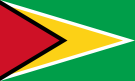 Флаг: Гайана