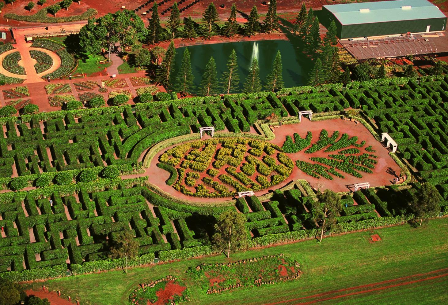 Pineapple Garden Maze, США