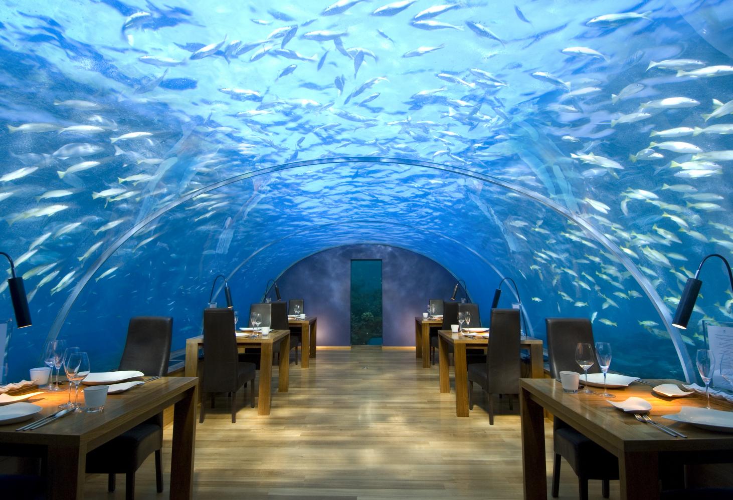 Подводный отель Jules’ Undersea Lodge. Флорида. США