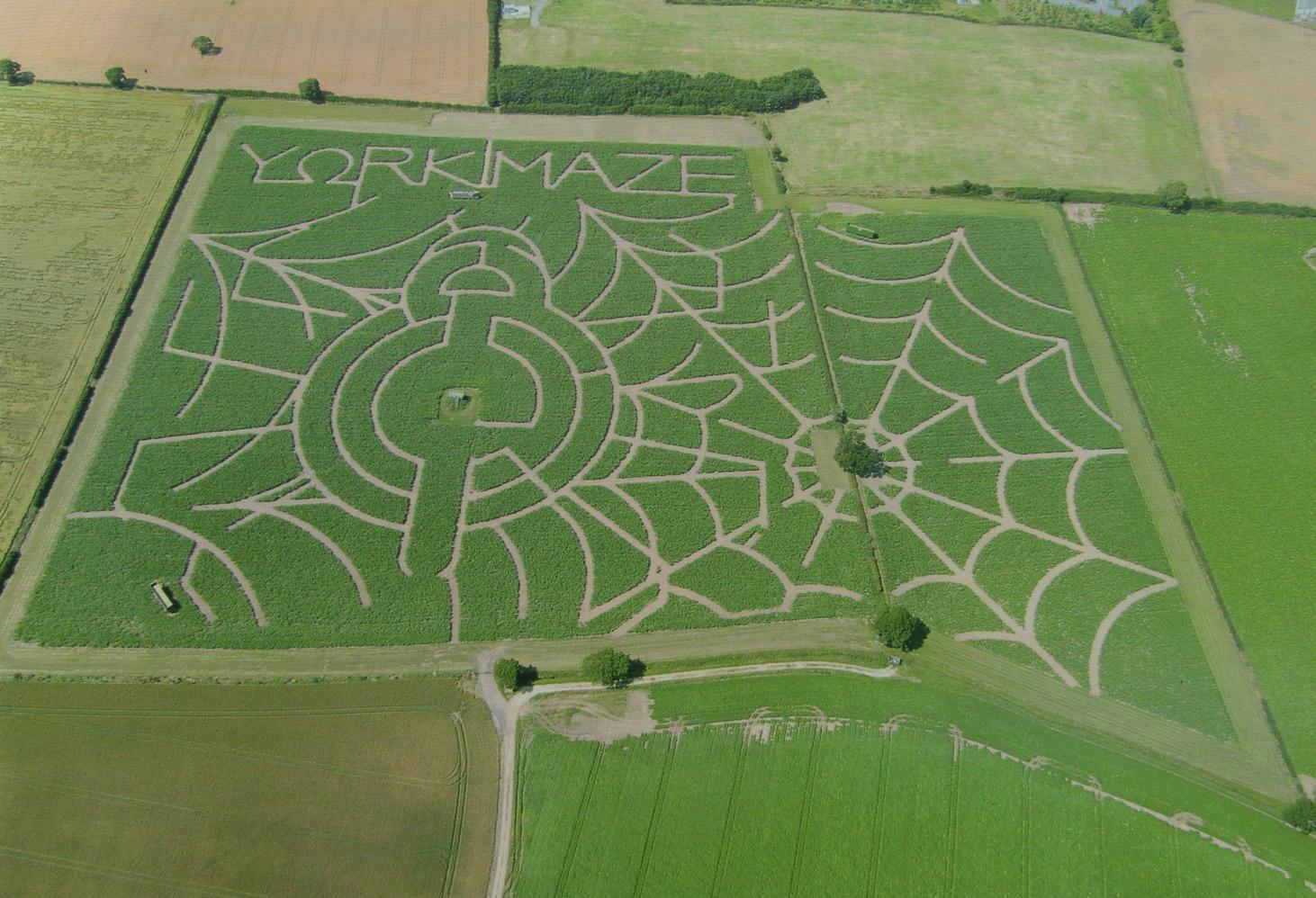 York Maze, Великобритания
