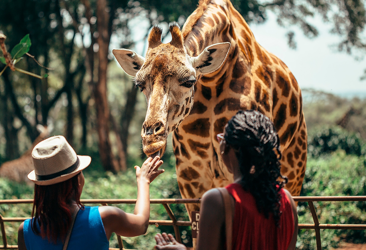 Национальный зоопарк Претории, Южная Африка