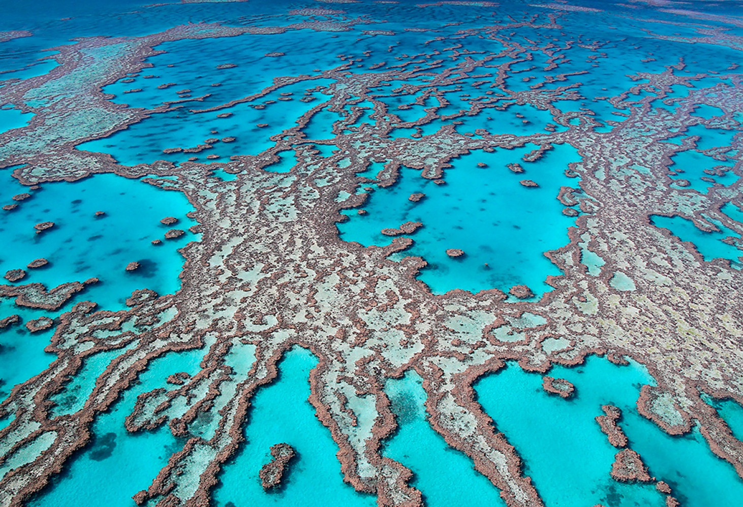 Большой Барьерный Риф, Австралия