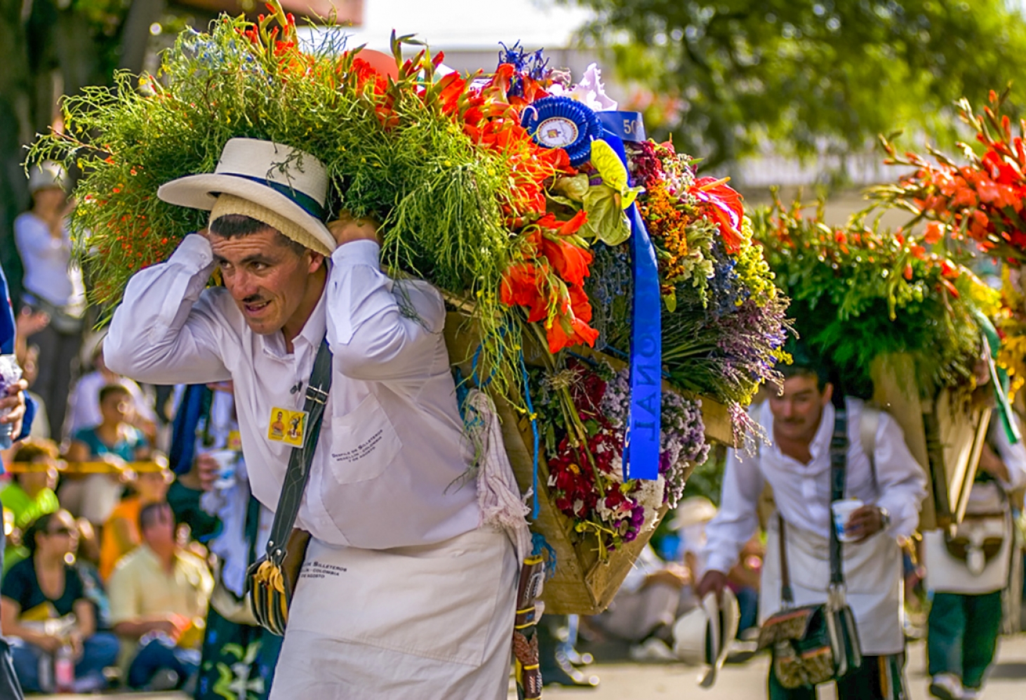 Фестиваль цветов в Медельин, Колумбия 28.07-06.08.2017